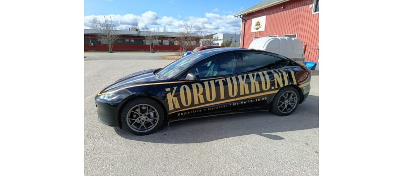 Korutukun Tesla 3 vm 2024